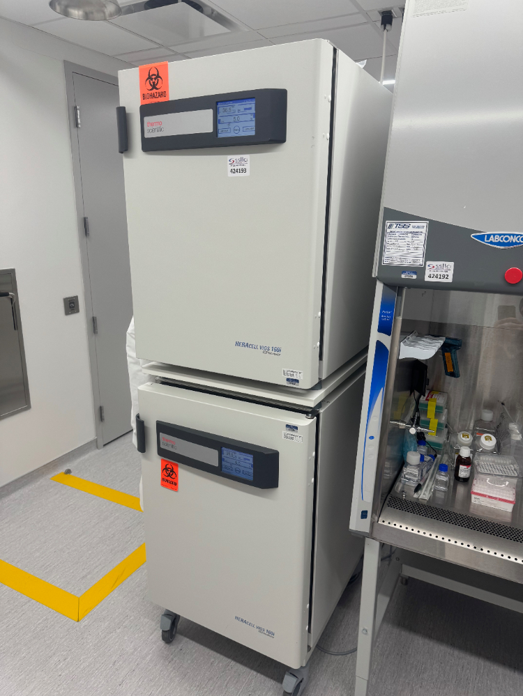 Image of Thermo HERAcell vios 160i Double Stack CO2 Incubator